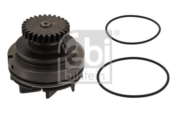 Waterpomp (patroon) past: RVI C, G, MAJOR, MAXTER, R MIDR06.20.45-MIDS06.20.45B 10.82-10.98