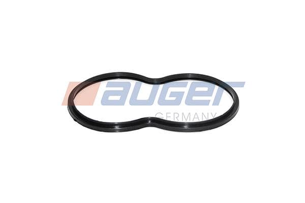 Gasket, thermostat housing