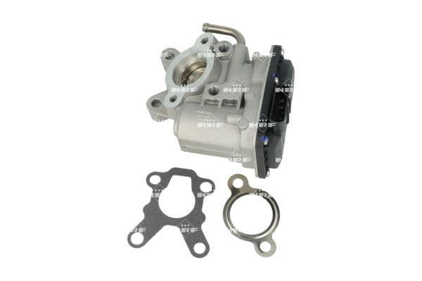 EGR-klep past: RVI MASCOTT, MAXITY  NISSAN CABSTAR, NT400 CABSTAR, PATROL GR V, ATLEON  RENAULT MASTER PRO 2.5D/3.0D 05.00-