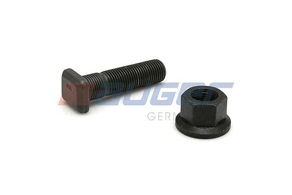Wheel bolt