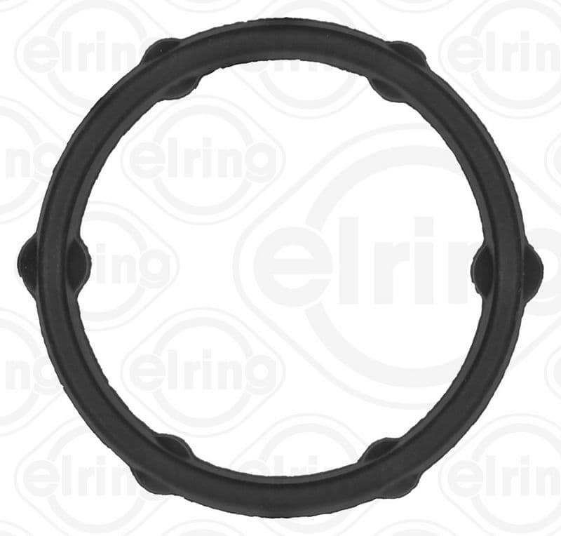 Gasket, oil cooler