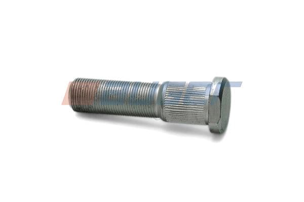 Wheel bolt
