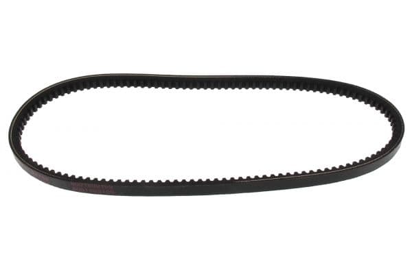 Hose, cylinder head cover ventilation