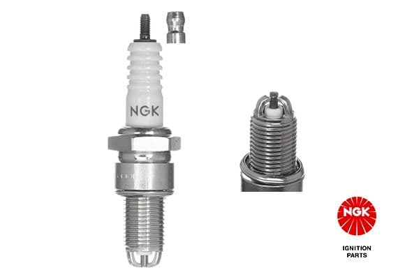 Spark plug