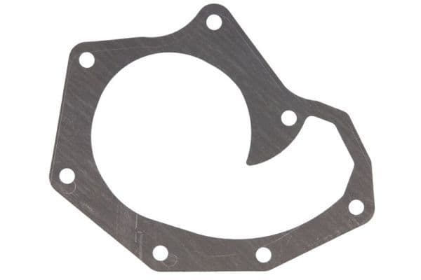 Water pump gasket
