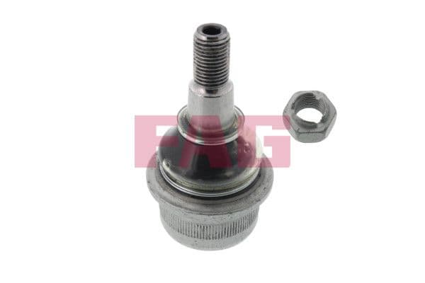 Kogelgewricht van de as Links/Rechts (bodem voor) (diameter kegel 17mm) past: MERCEDES C (W202), CLS (C219), E (VF211), E (W210), E (W211), E T-MODEL (S211), S (C215), S (W220 1.8-6.3 03.93-01.12