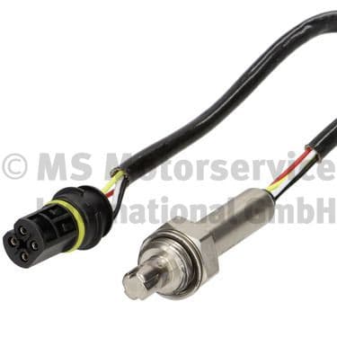 Oxygen Sensor