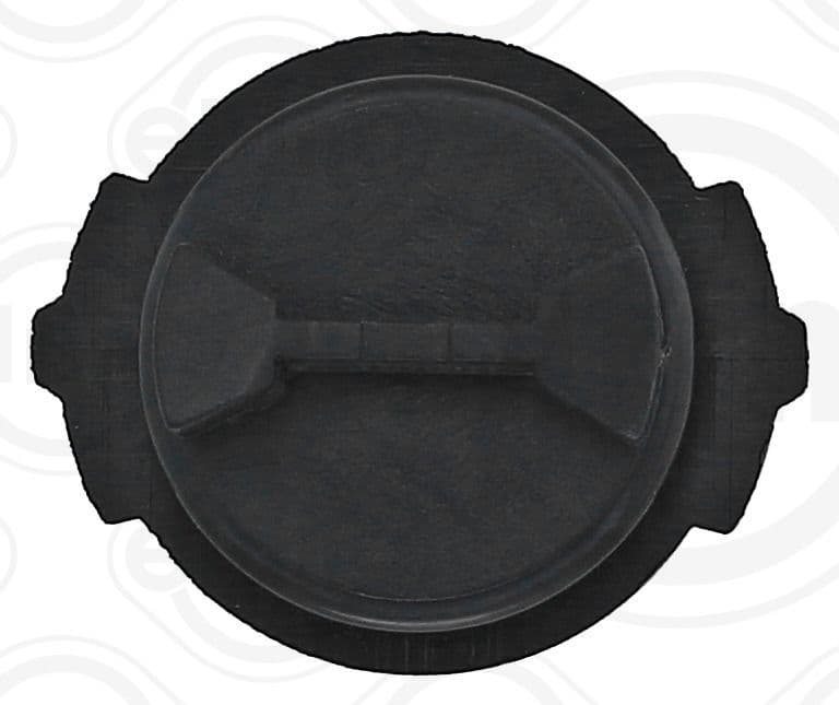 Screw Plug, automatic transmission casing