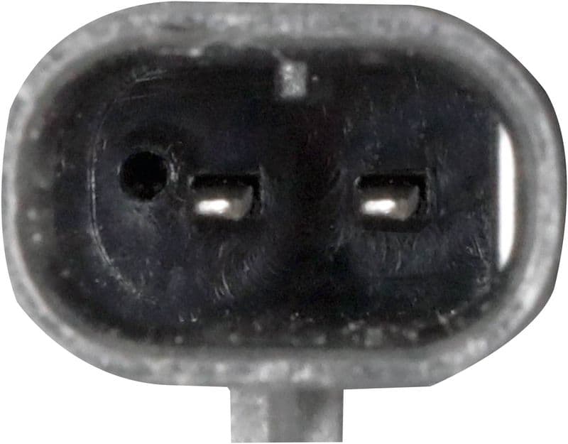 Hose, crankcase ventilation