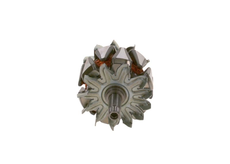 Alternator rotor
