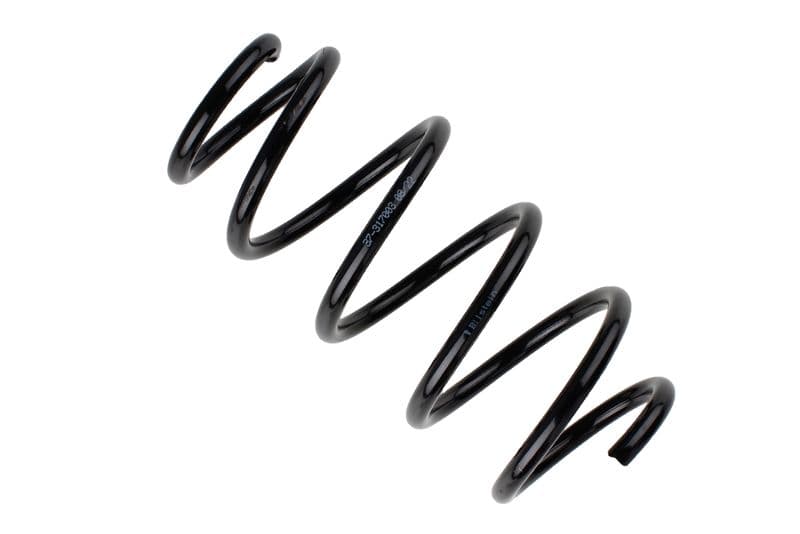 Coil spring