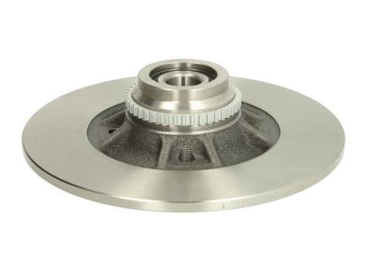 Remschijf met lager Achter Links/Rechts (geen ABS ring) past: RENAULT 19 I, 19 I CHAMADE, 19 II, 19 II CHAMADE, CLIO I, CLIO II, CLIO IV, MEGANE I, MEGANE I CLASSIC 1.0-2.0 01.88-08.21