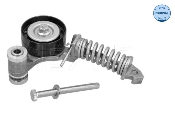 Tensioner Lever, V-ribbed belt