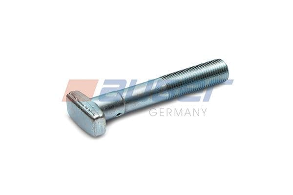 Wheel bolt