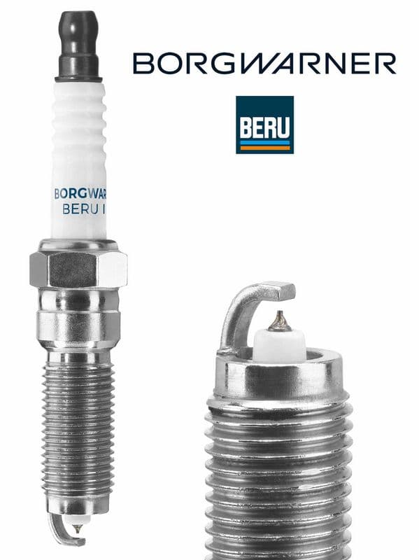 BorgWarner (BERU)