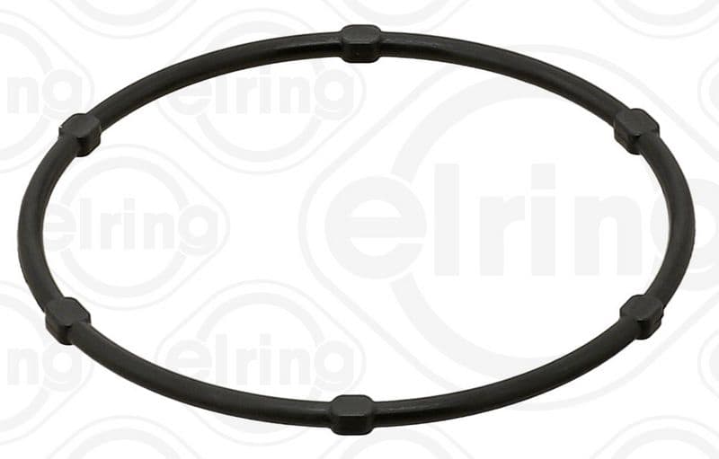 Gasket, thermostat housing