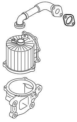 Gasket, crankcase ventilation