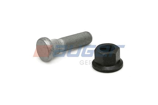 Wheel bolt