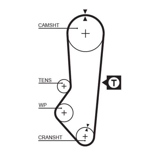 Timing belt