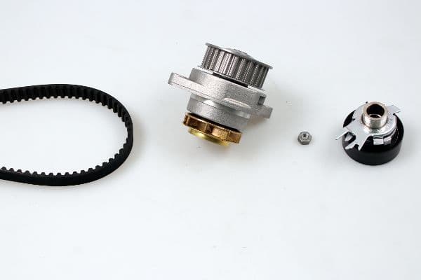 Water Pump & Timing Belt Kit