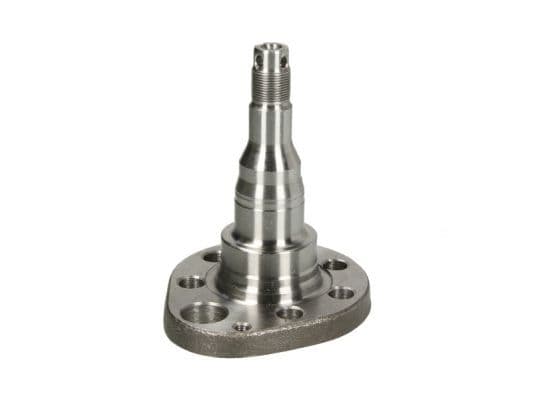 Achterwiel naaf plug Rechts Achter past: SEAT AROSA, CORDOBA, CORDOBA VARIO, IBIZA II, TOLEDO I  VW GOLF II, GOLF III, GOLF IV, JETTA II, PARATI III, PASSAT B3/B4, POLO III CLASSIC 1.0-2.8 08.83-