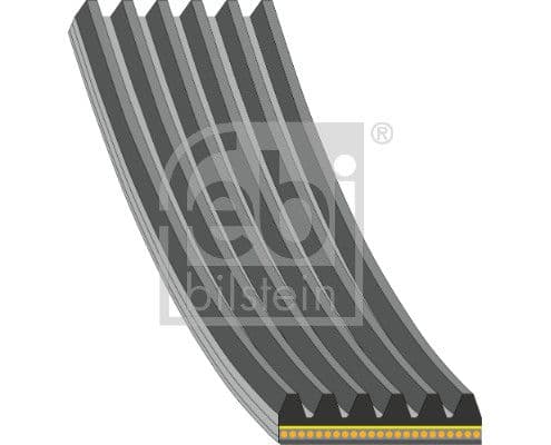 Gasket, intake manifold