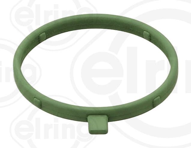 Water pump gasket