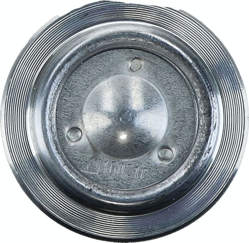 Kogelgewricht van de as Links/Rechts (voor) past: DACIA DOKKER, LODGY, LOGAN II, LOGAN MCV II, SANDERO II  LADA XRAY  RENAULT CAPTUR I, EXPRESS, LOGAN II, SANDERO/STEPWAY II 0.9-Electric 03.12-