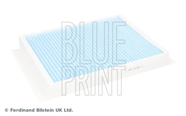 BLUE PRINT
