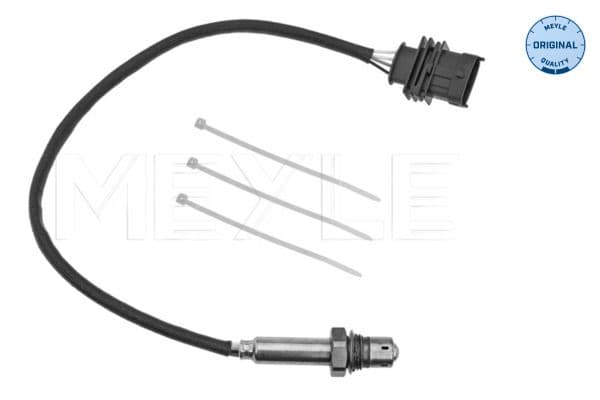 Oxygen Sensor
