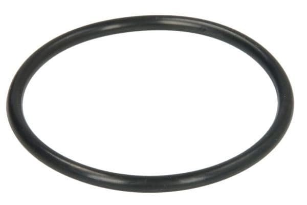 Thermostat gasket