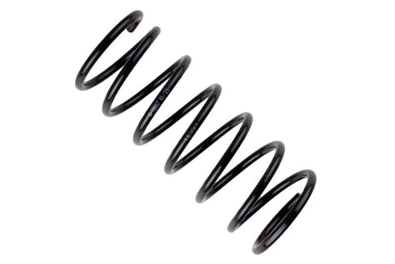 Coil spring