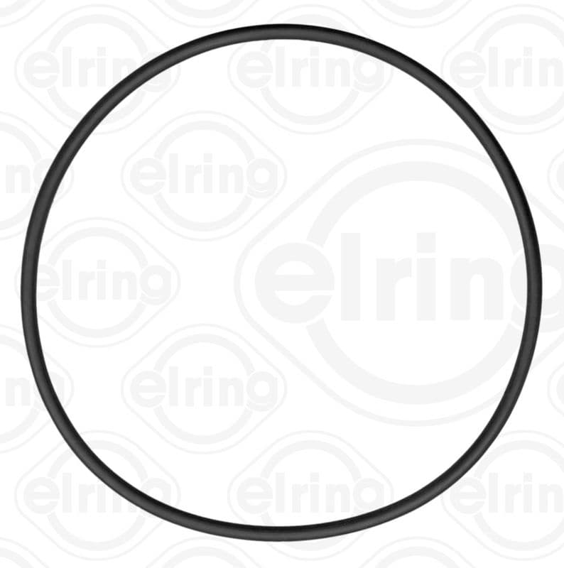 Seal Ring