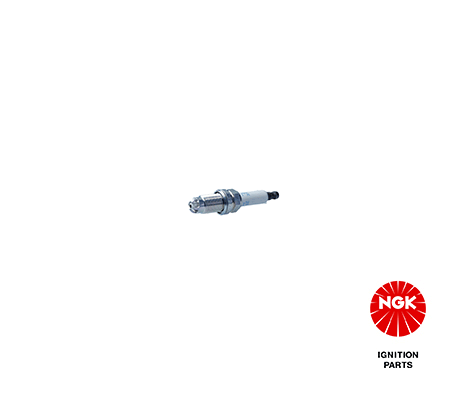 Spark plug