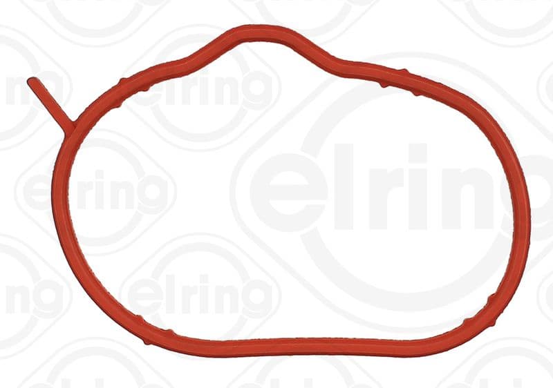 Gasket, intake manifold
