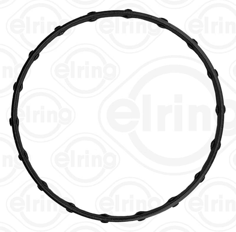 Thermostat gasket