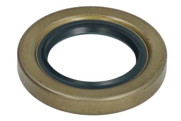 Repair Kit, differential