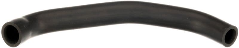 Hose, cylinder head cover ventilation