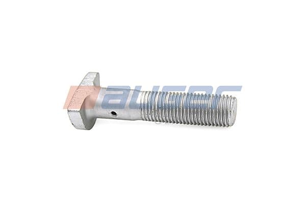 Wheel bolt