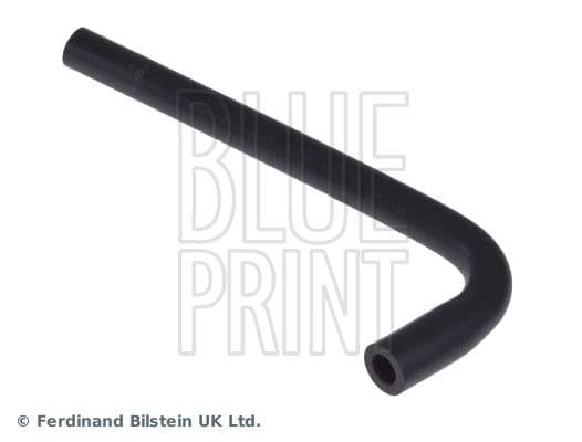 Hose, crankcase ventilation