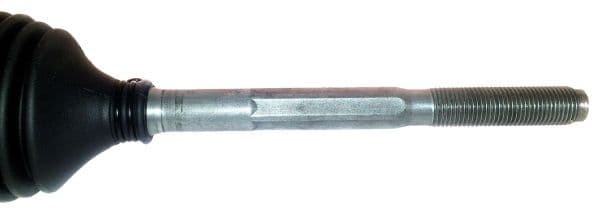 Diaphragm, diaphragm brake cylinder