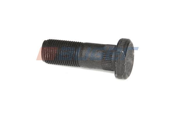 Wheel bolt