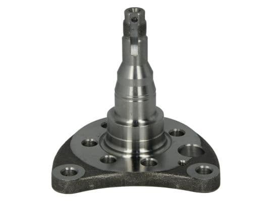 Achterwiel naaf plug Links Achter past: SEAT CORDOBA, CORDOBA VARIO, IBIZA II, TOLEDO I  VW CORRADO, GOLF II, GOLF III, GOLF IV, JETTA II, PASSAT B2, PASSAT B3/B4, POLO, POLO III 1.0-2.9 09.79-12.02