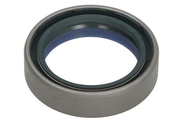 Shaft Seal, drive shaft