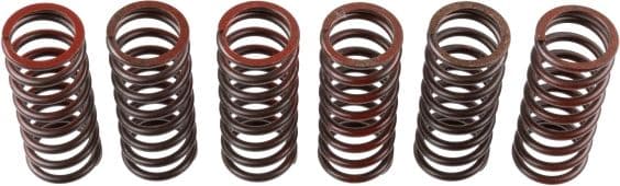 Koppelingsveren set past: APRILIA RSV, TUONO 1000 2009-2021