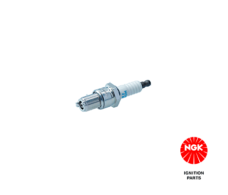 Spark plug