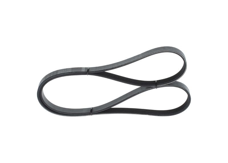 V-ribbed Belt