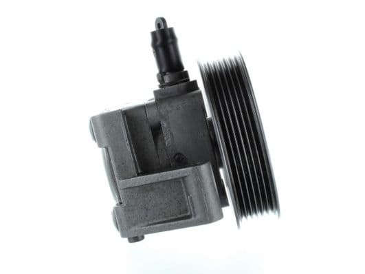 Rem expanderas reparatieset past: MERITOR TM