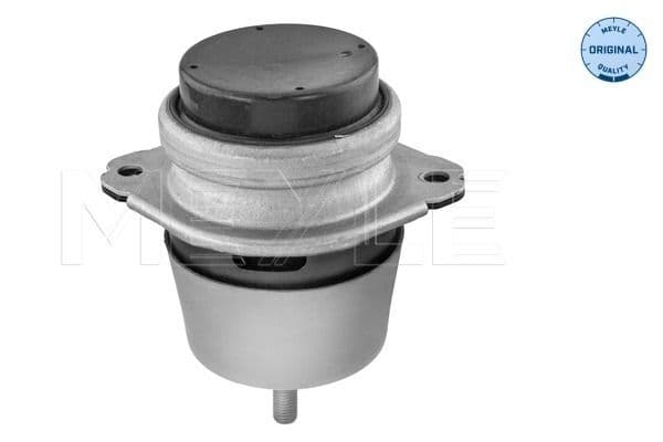 Motorsteun Voor Links/Rechts, hydraulisch past: VW TOUAREG 2.5D 01.03-05.10