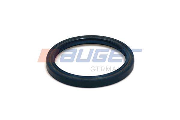 Seal Ring, steering knuckle